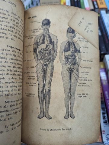  LÀM THẾ NÀO ĐỂ ĐƯỢC SỐNG KHOẺ - LÊ VĂN KHOA & NHIỀU TÁC GIẢ 