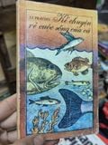  Kể chuyện về cuộc sống của cá 