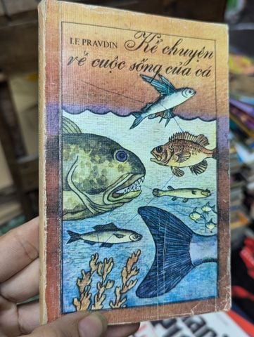  Kể chuyện về cuộc sống của cá 