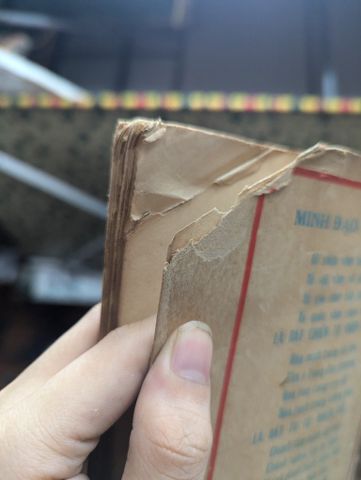  LỊCH SỬ HỒNG MÔN - GIÁO CHỦ HỒNG TÂM TRÚC LÂM NƯƠNG 