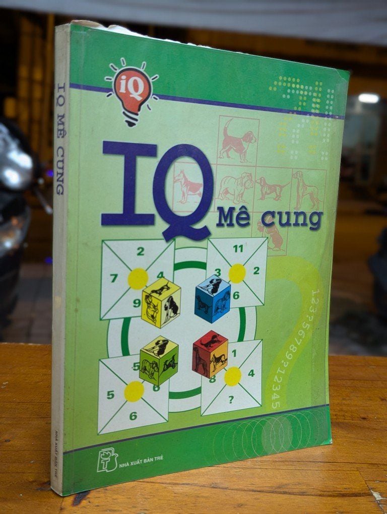 IQ mê cung 