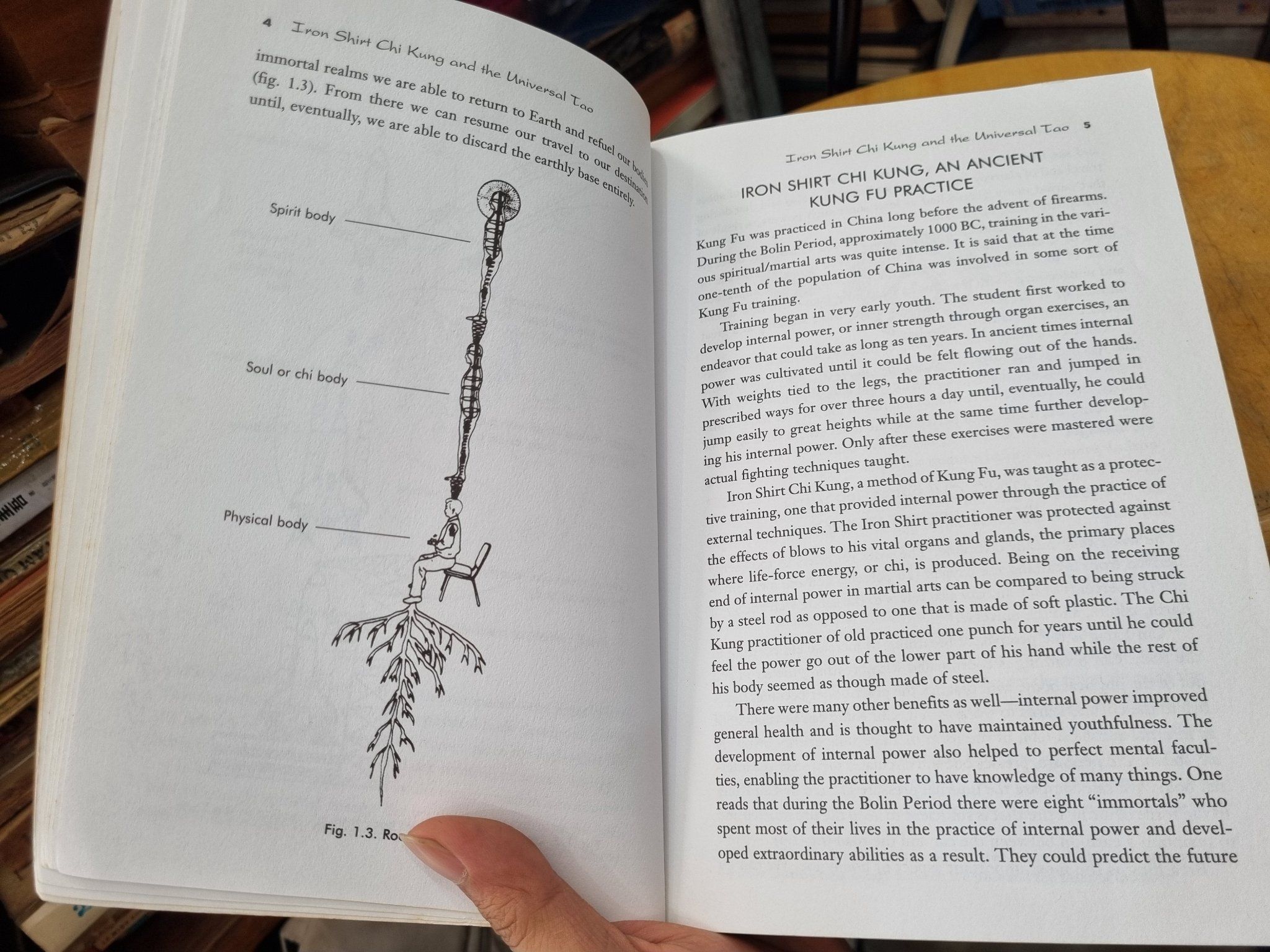 IRON SHIRT CHI KHUNG - Mantak Chia – Momo Bookstore