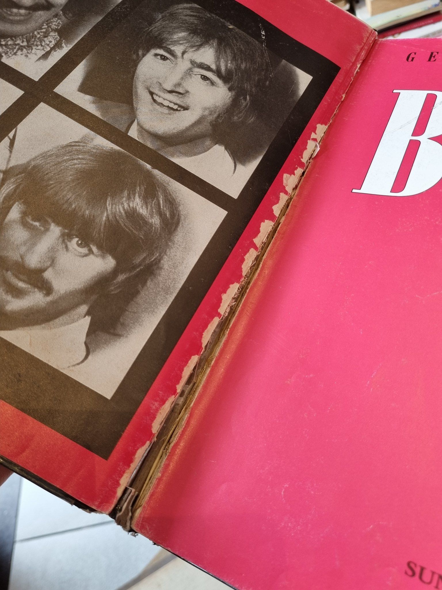 THE BEATLES : A Celebration (30th Anniversary Edition