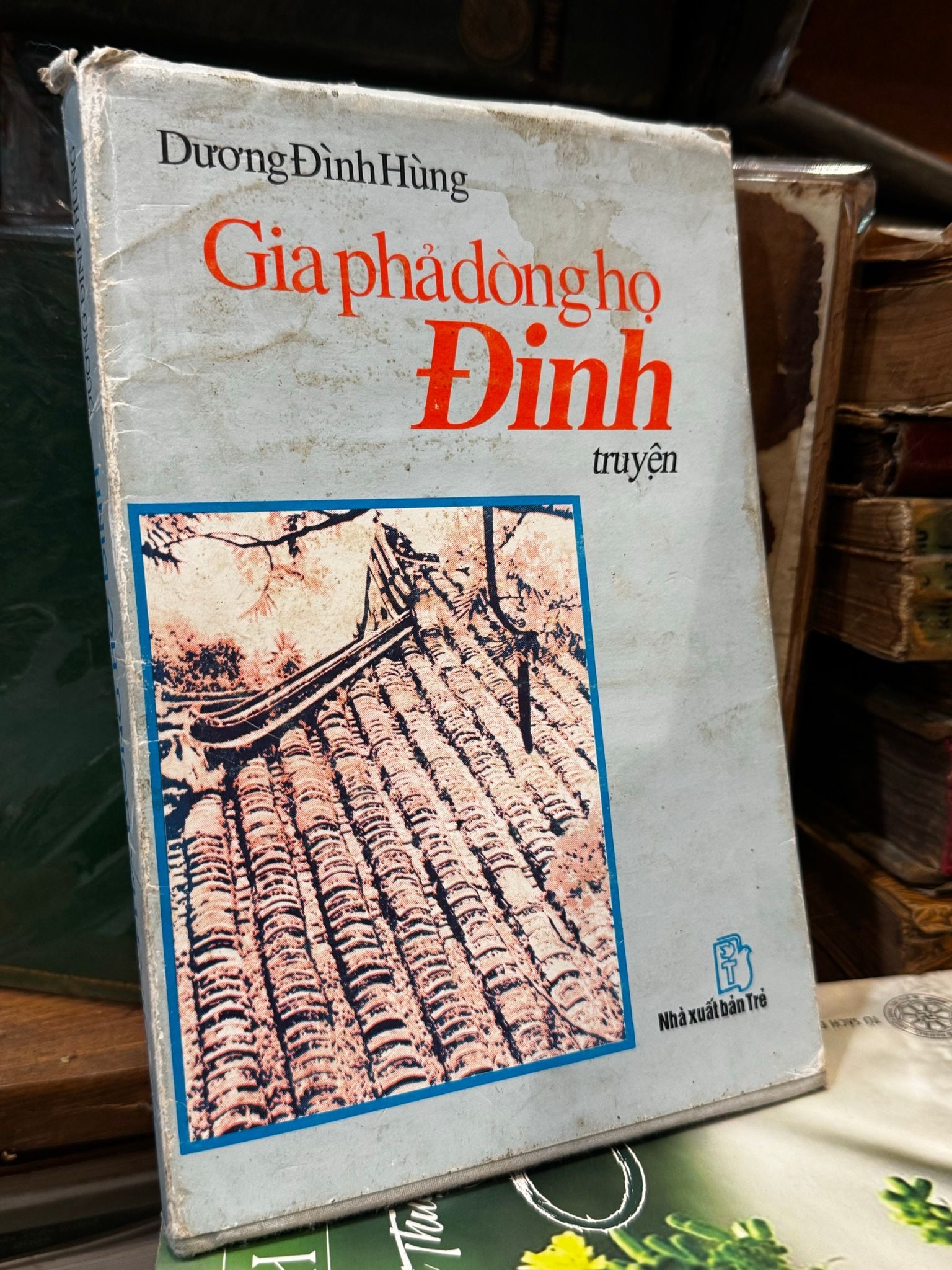  Gia phả dòng họ Đinh truyện - Dương Đình Hùng 