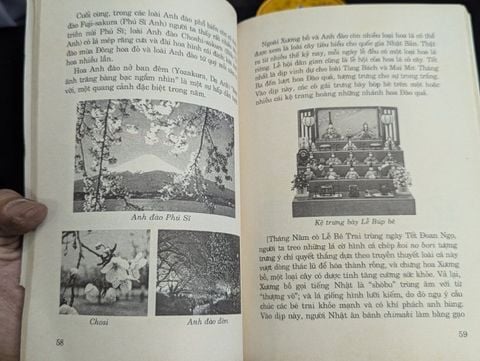 Hoa Đạo - George Ohsawa