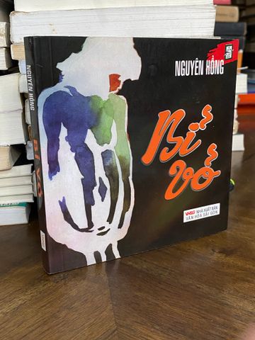  BỈ VỎ - NGUYÊN HỒNG 