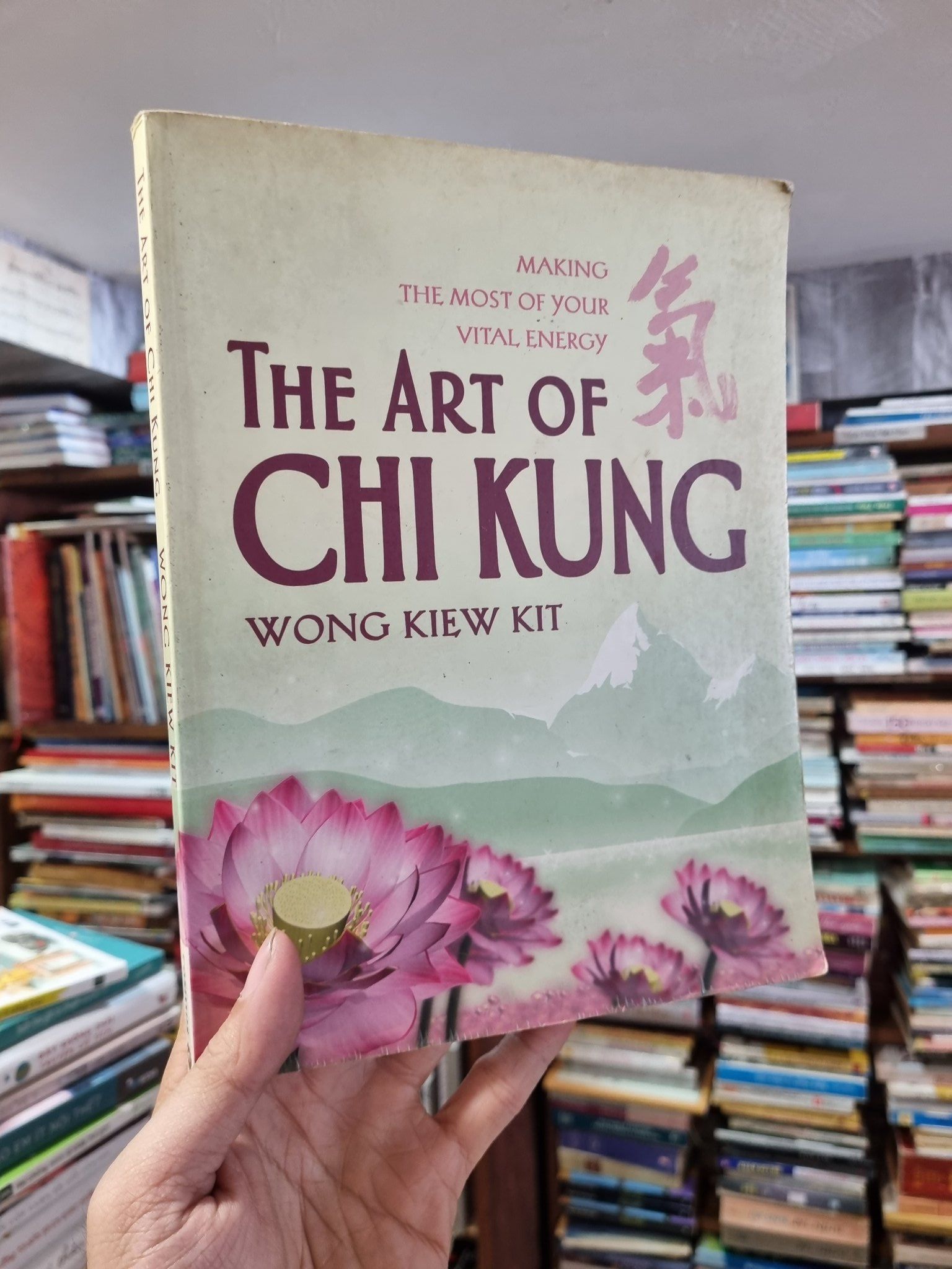 The Art of Chi Kung : Making the most of your vital energy - Wong Kiew ...