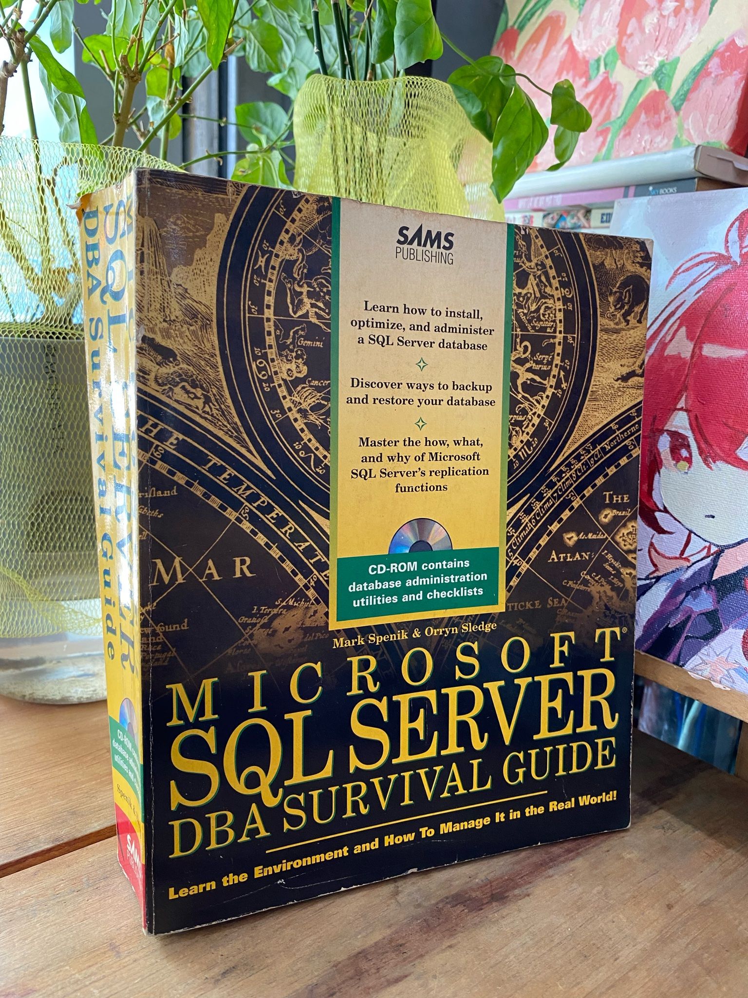 MICROSOFT SQL SERVER DBA SURVIVAL GUIDE - MARK SPENIK & ORRYN SLEDGE ...