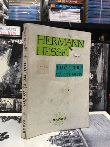 Tuổi Trẻ và Cô Đơn - Hermann Hesse