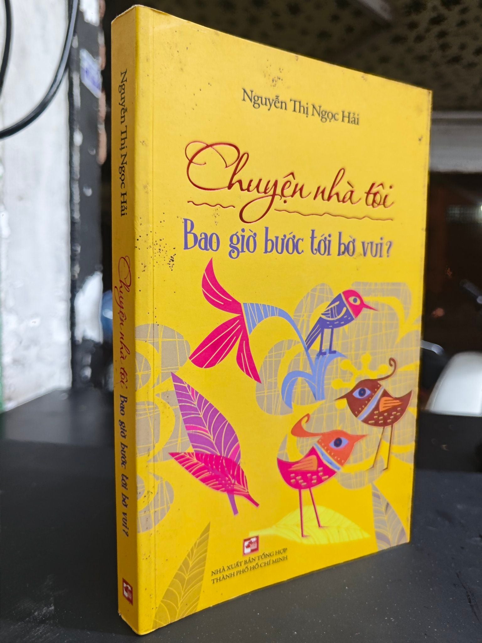  Chuyện nhà tôi bao giờ bước tới bờ vui  - Nguyễn Thị Ngọc Hải 