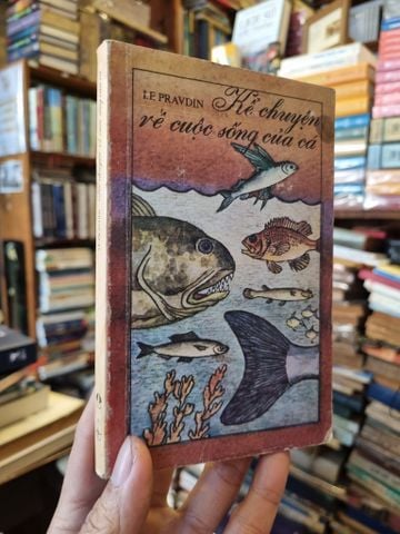  Kể chuyện về cuộc sống của cá 