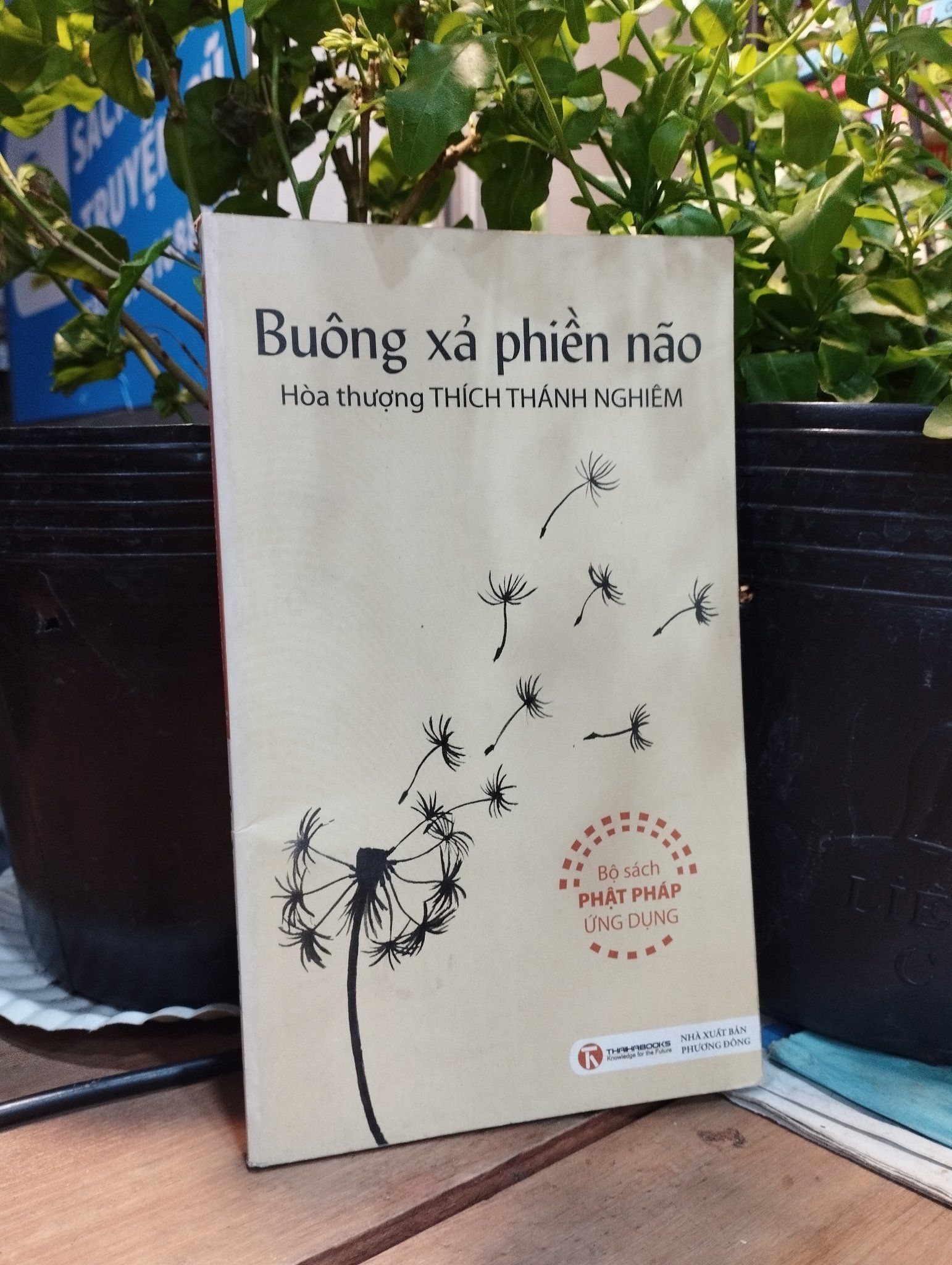  Buông Xả Phiền Não - Hoà Thượng Thích Thánh Nghiêm 