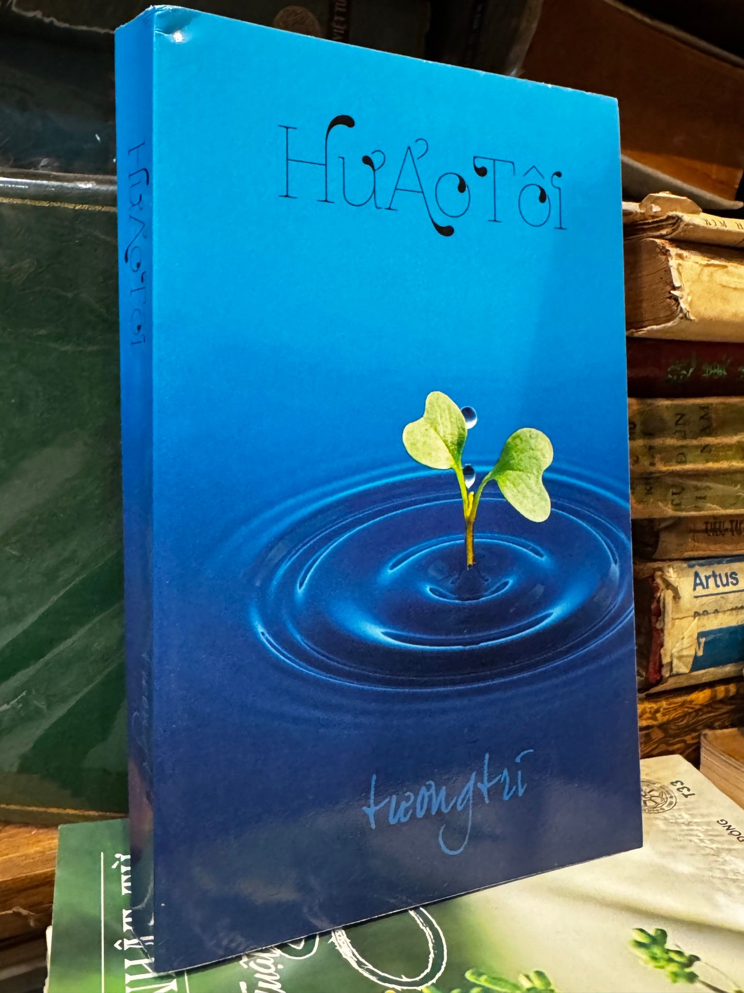  Hư ảo tôi - Tương Trí 