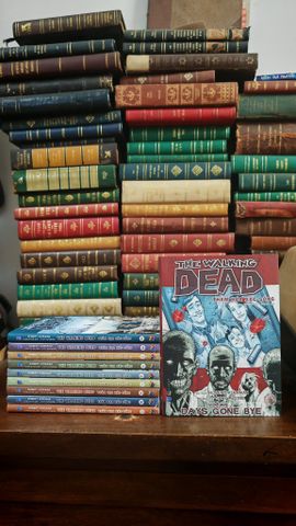  TRUYỆN TRANH THE WALKING DEAD - ROBERT KIRKMAN 