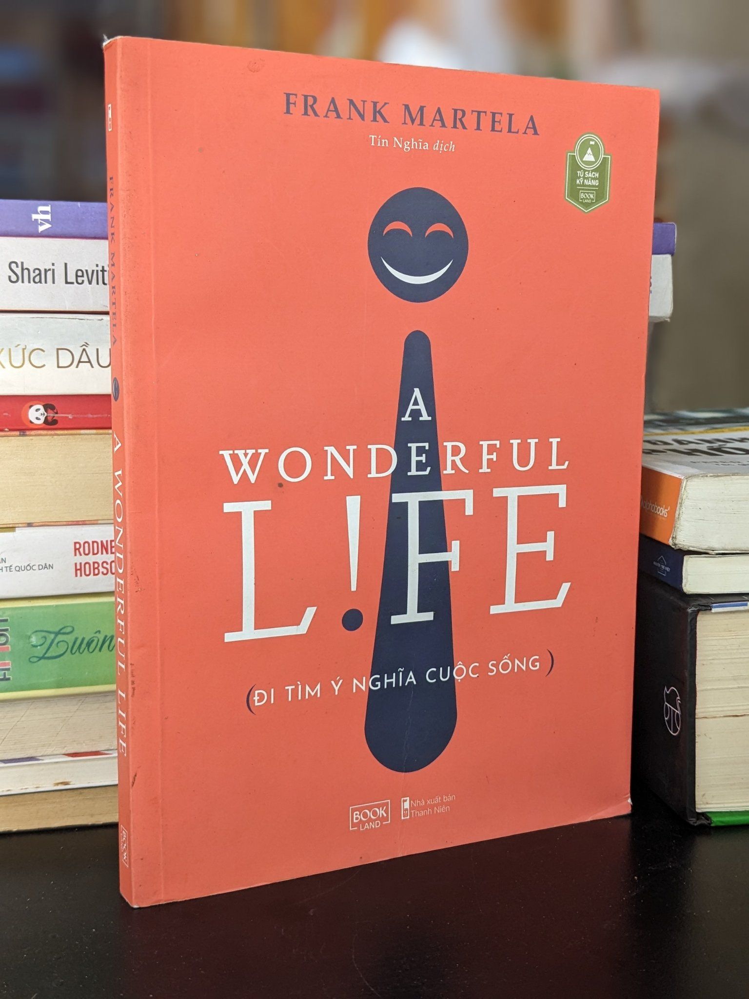  A wonderful life: đi tìm ý Nghĩa cuộc sống - Frank Martela 