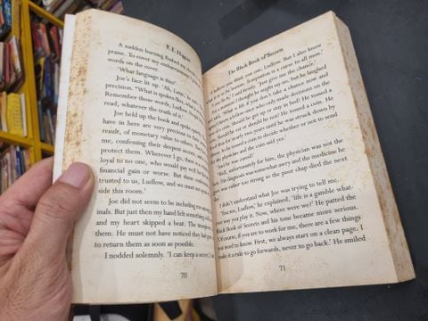  The Black Book of Secrets - F.e. Higgins 