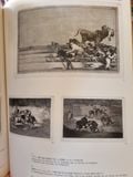  Sách tiếng Nhật 186 : Francisco De Goya Y Lucientes 