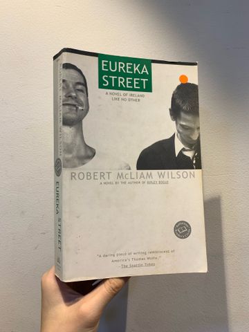 Eureka Street - Robert Mcliam Wilson