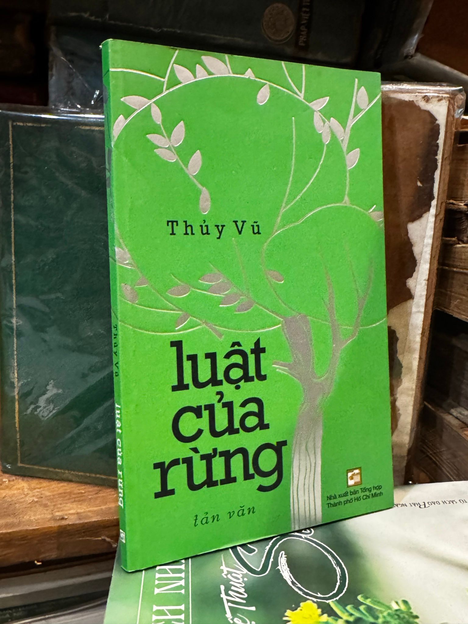  Luật của rừng - Thuỷ Vũ 