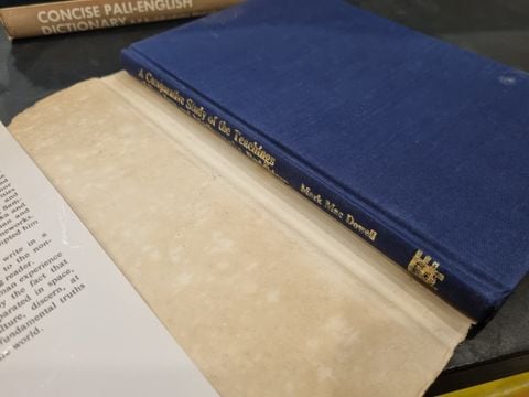  A COMPARATIVE STUDY OF THE TEACHINGS OF DON JUAN AND MADHYAMAKE BUDDHISM - Mark Mac Dowell 