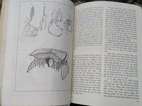  Những tiên đề của sinh học - B.M. Međnikov 