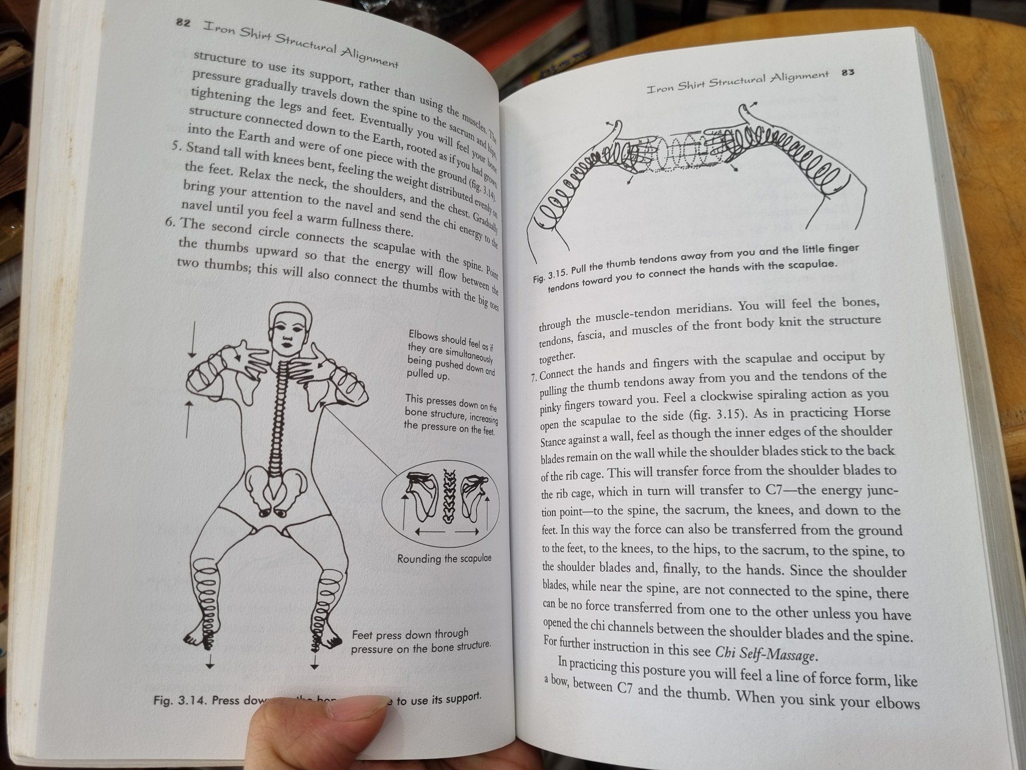 IRON SHIRT CHI KHUNG - Mantak Chia – Momo Bookstore
