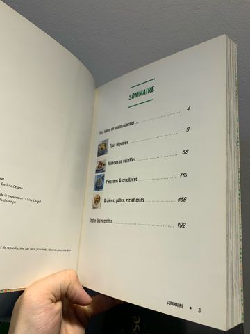  PLATS MINCEUR POUR SOIRS DE SEMAINE 