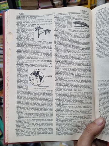  Webster's New World Dictionary of the American Language - College Edition 