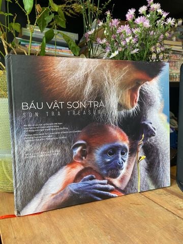 Báu Vật Sơn Trà