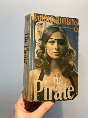 The Pirate - Harold Robbins
