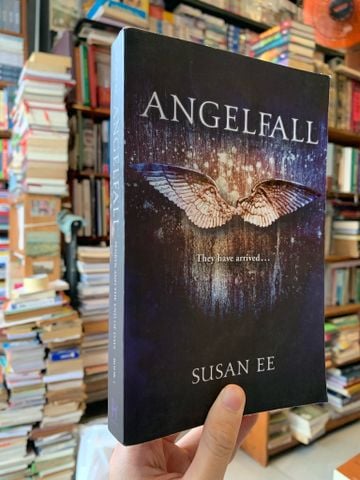 Angle Fall - Susan Lee
