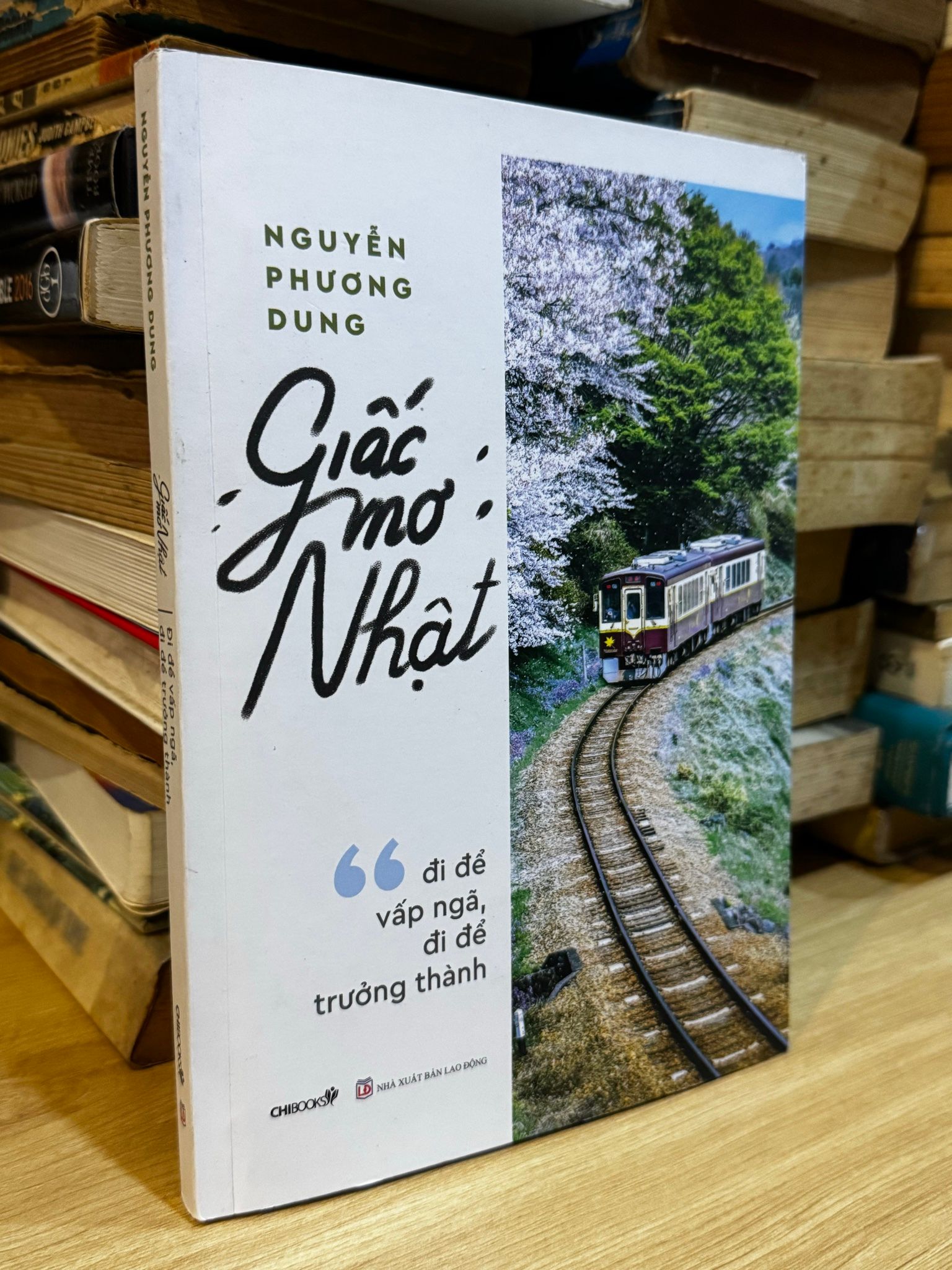  Giấc mơ Nhật - Nguyễn Phương Dung 