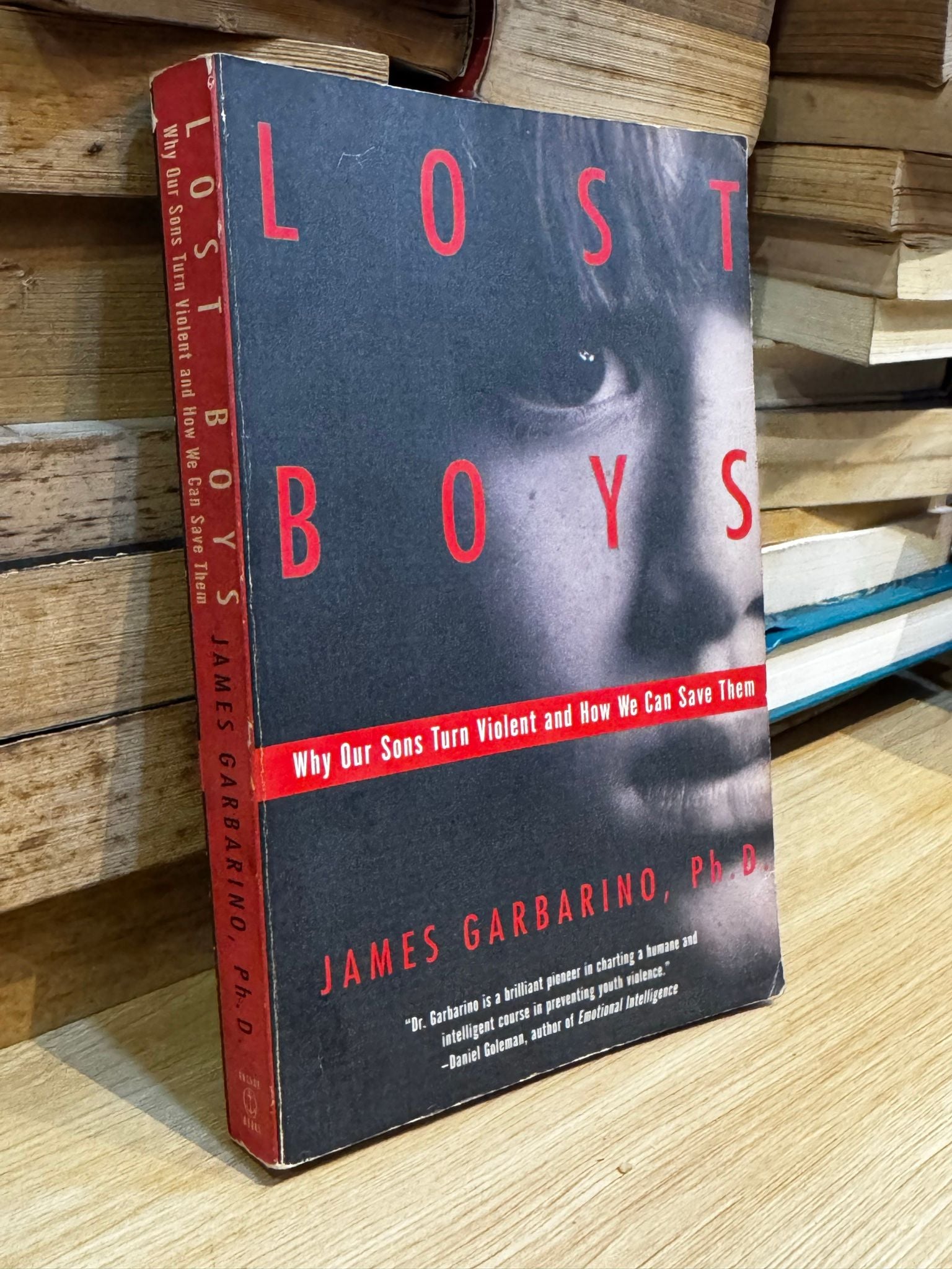  Lost Boys - James Garbarino 