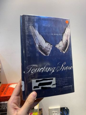  TOUCHING SNOW - Mr. Sindy Felin 