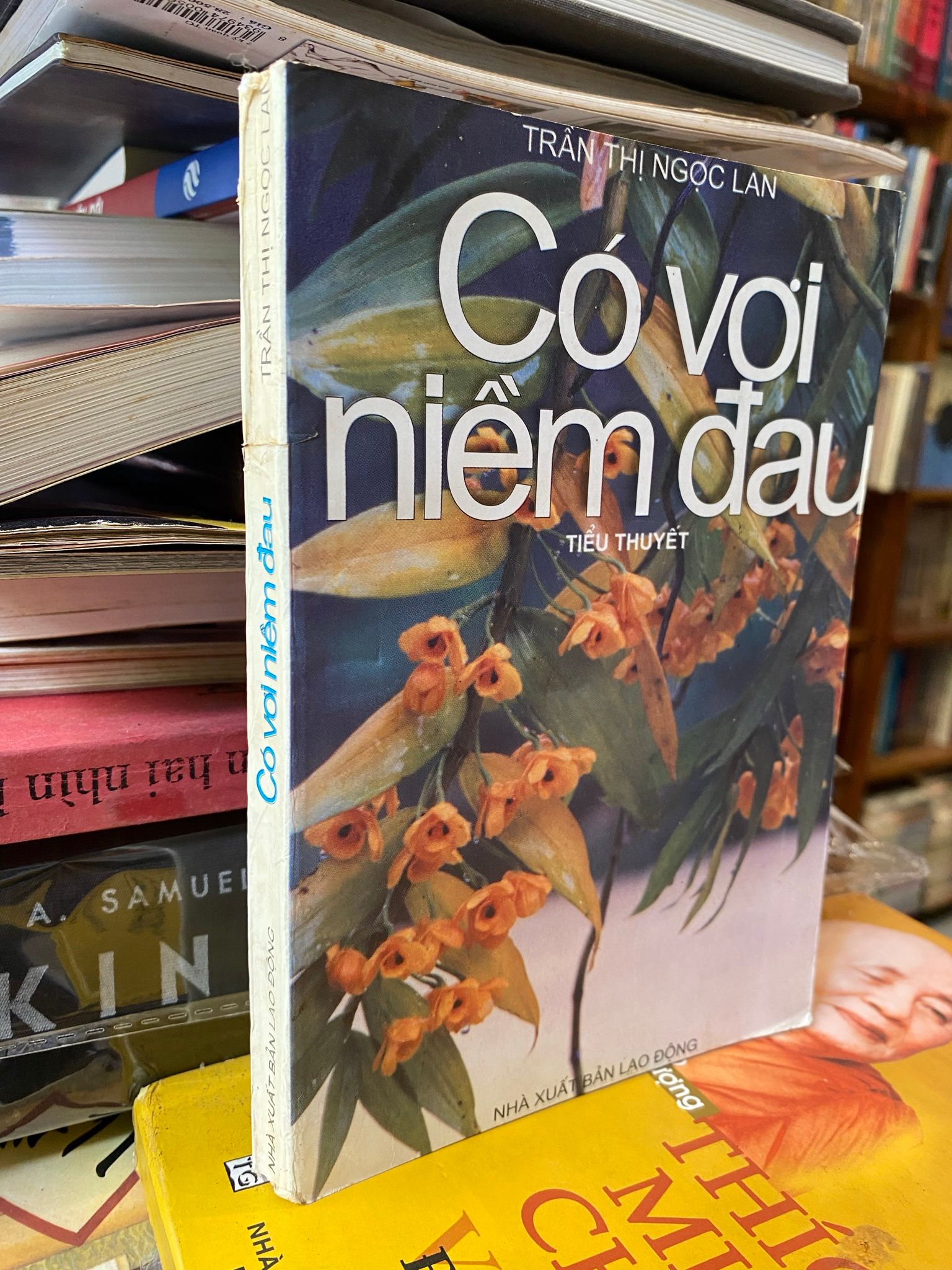  Có vơi niềm đau-Trần Thị Ngọc Lan 
