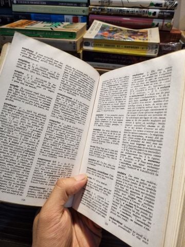  DICTIONAIRE DES SYNONYMES (1977) 