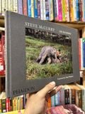  On Reading - Steve McCurry 