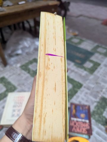  Cuộc phiêu lưu kỳ diệu của Nils - Selma Lagerlof 