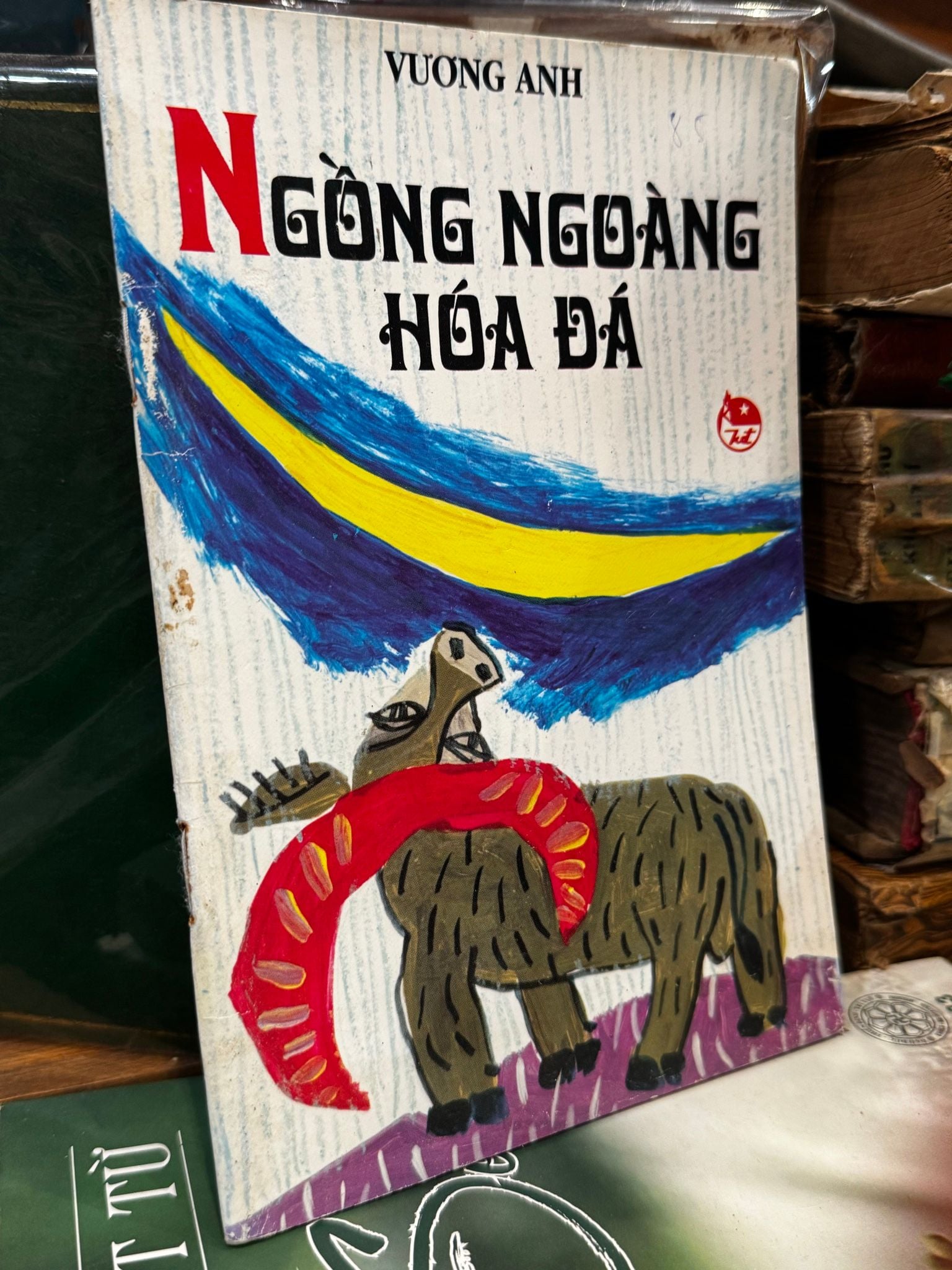  Ngồng ngoàng hóa đá 