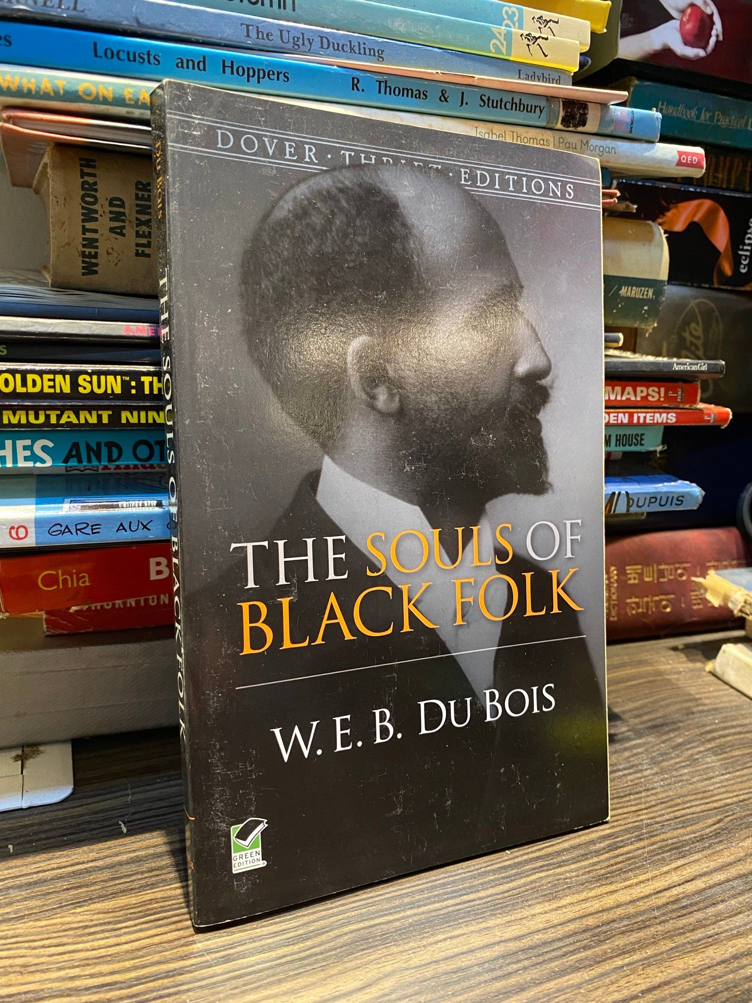  The Souls of Black Folk - W. E. B. Du Bois 
