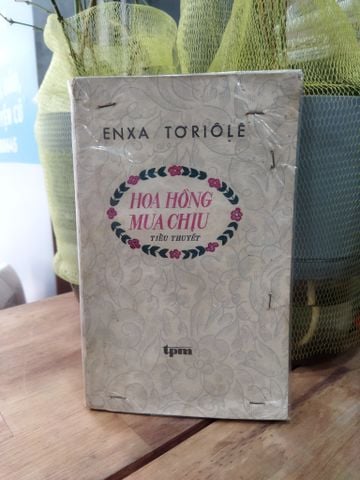  Hoa Hồng Mua Chịu - ENXA TƠRIOLE 
