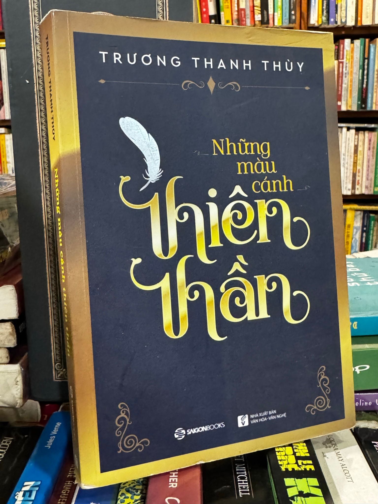  Những màu cánh thiên thần - Trương Thanh Thùy 