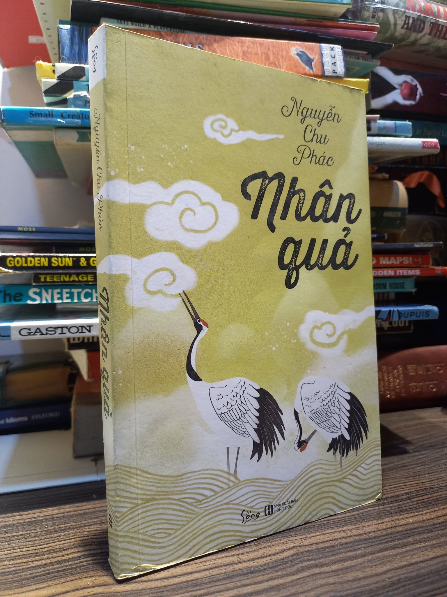  Nhân quả - Nguyễn Chu Phác 