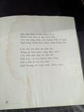  Sáng mai xuân - Bàng Ái Thơ 