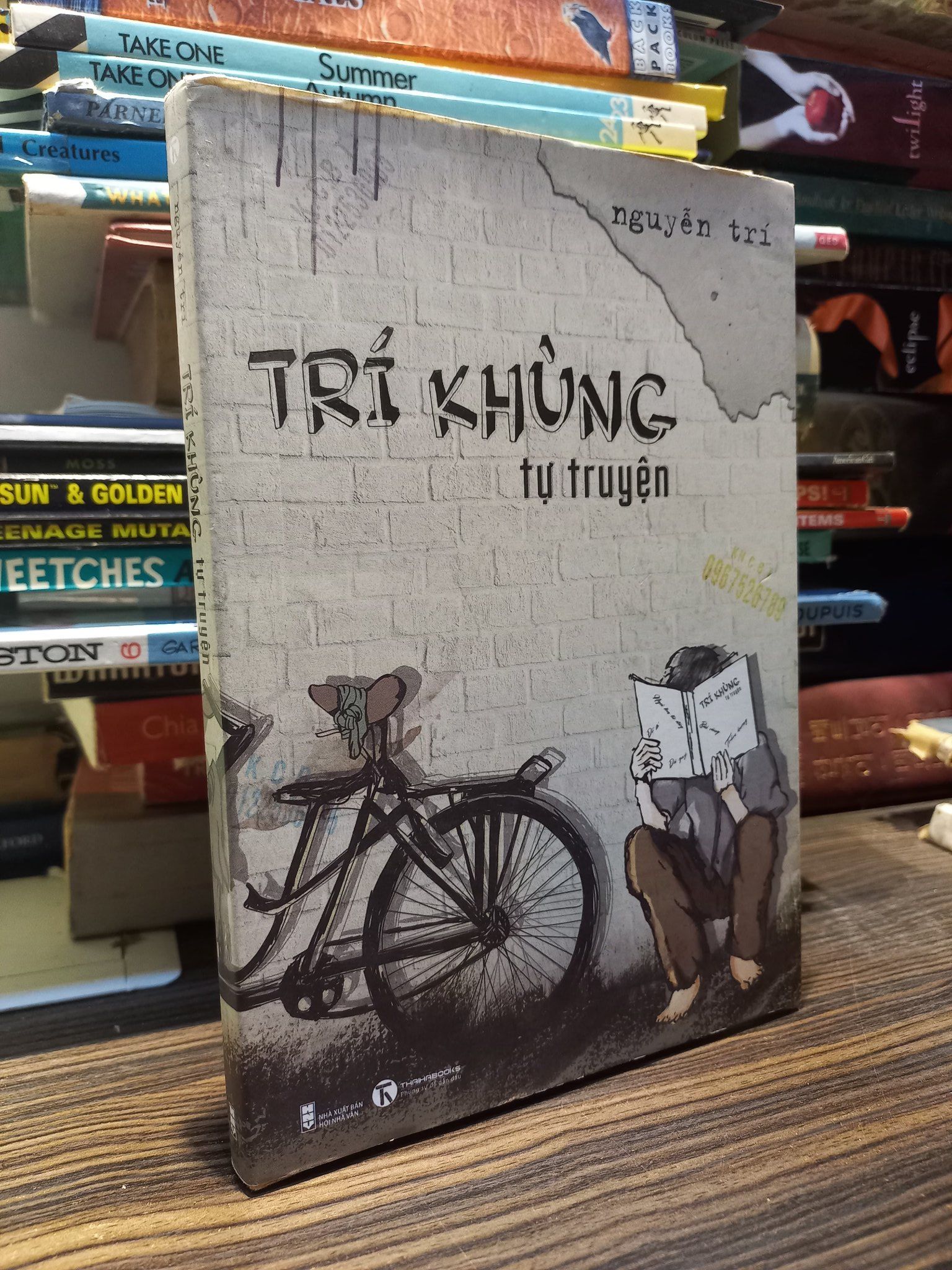  Trí khùng tự truyện - Nguyễn Trí 