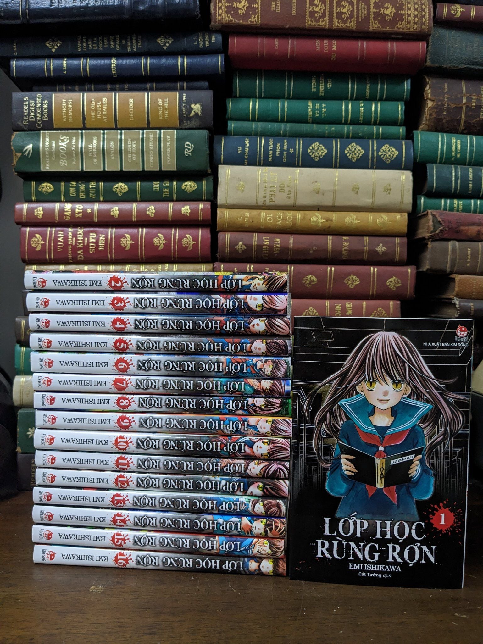 Momo Bookstore