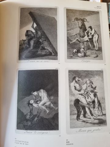  Sách tiếng Nhật 186 : Francisco De Goya Y Lucientes 