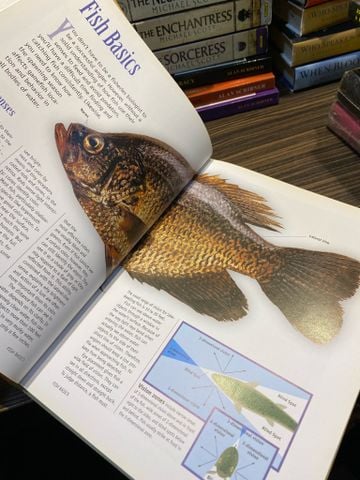  The Complete Guide to Freshwater Fishing 