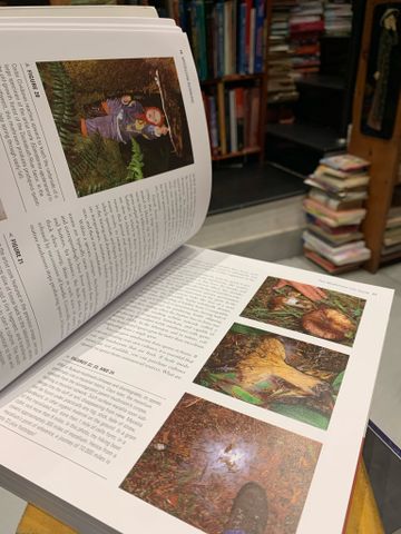  Mycelium Running: How Mushrooms Can Help Save the World - Paul Stamets 