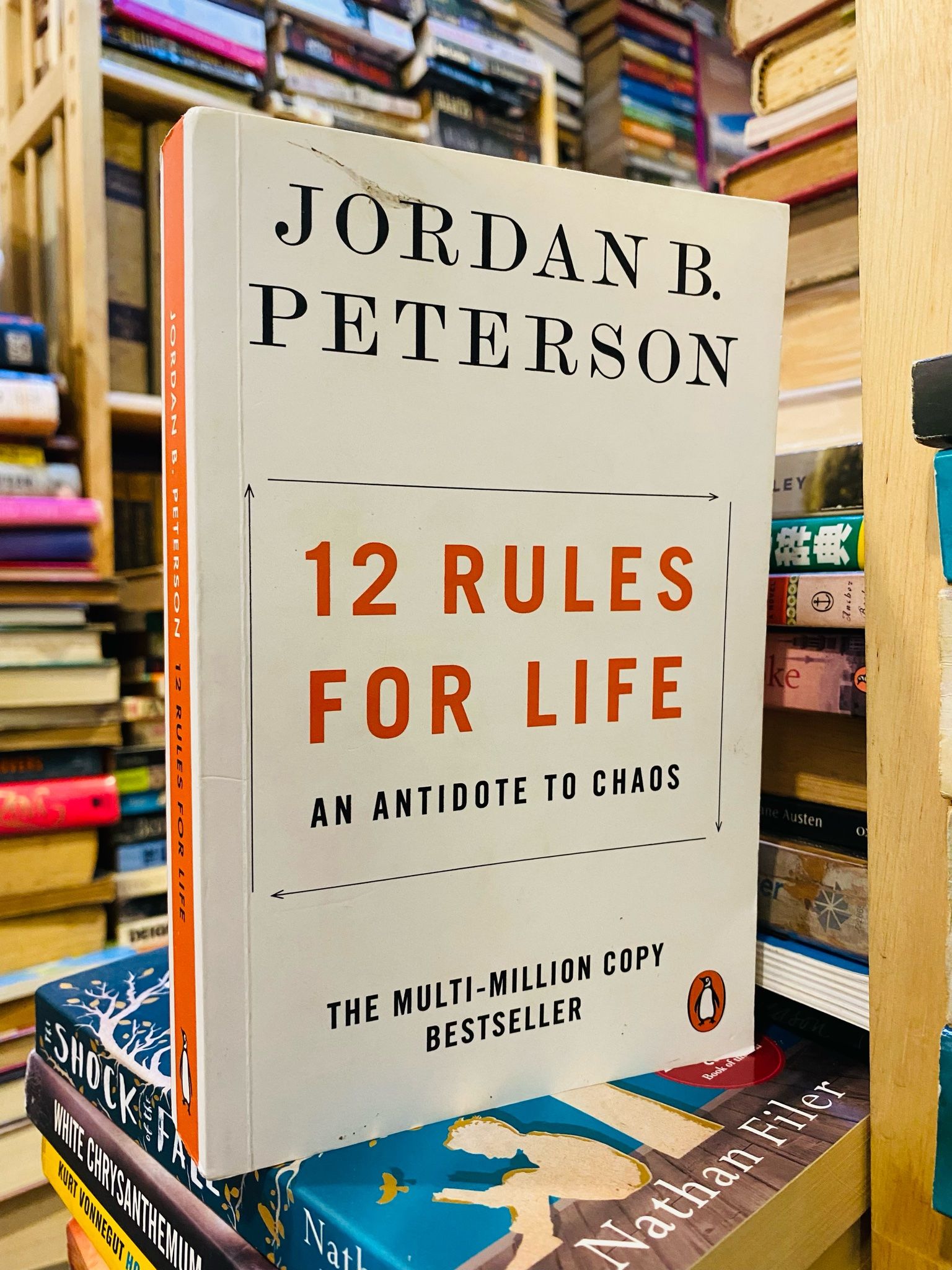  12 RULES FOR LIFE: AN ANTIDOTE TO CHAOS - JORDAN B. PETERSON 